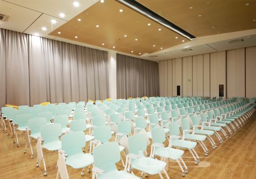 विश्वविद्यालय